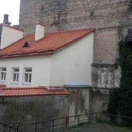 Vilnius Old Town Coziness Apartment Bagian luar foto