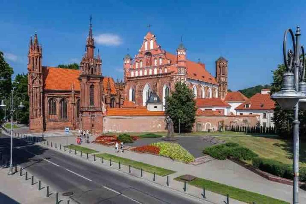 Vilnius Old Town Coziness Apartment Bagian luar foto