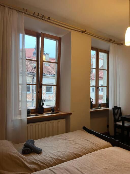 Vilnius Old Town Coziness Apartment Bagian luar foto