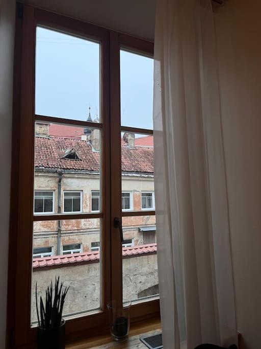 Vilnius Old Town Coziness Apartment Bagian luar foto